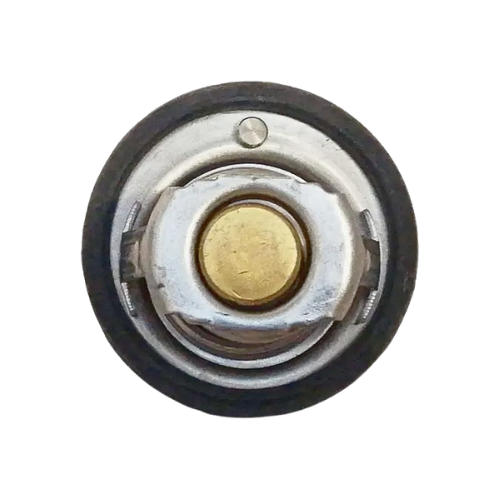 Termostato Foton Midi 1.3