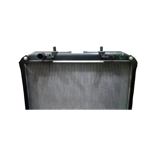 Radiador Agua Foton Tm3 1.5 Original