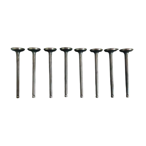 Valvulas Escape Foton Tm3 1.5