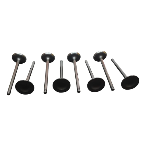 Valvula Admision Foton Tm3 1.5 Pack 8