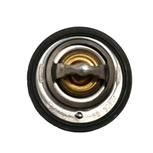 Termostato Foton Midi 1.3