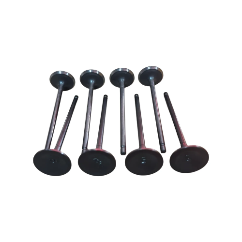 Valvulas Escape Foton Midi 1.3