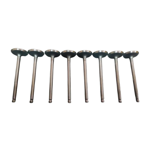 Valvula Admision Foton Tm3 1.5 Pack 8