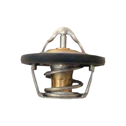 Termostato Foton Midi 1.3