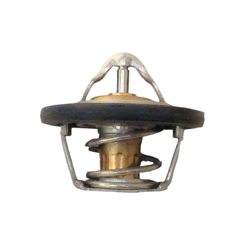 Termostato Foton Midi 1.3