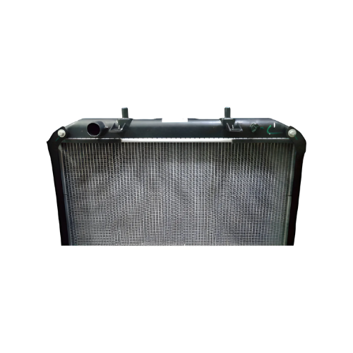 Radiador Agua Foton Tm3 1.5