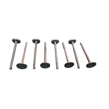 Valvulas Escape Foton Tm3 1.5