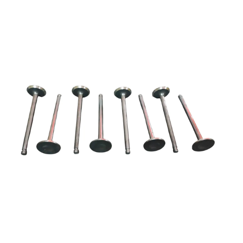 Valvulas Escape Foton Tm3 1.5