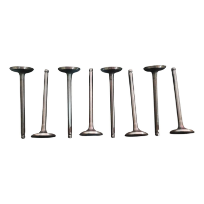 Valvula Admision Foton Tm3 1.5 Pack 8