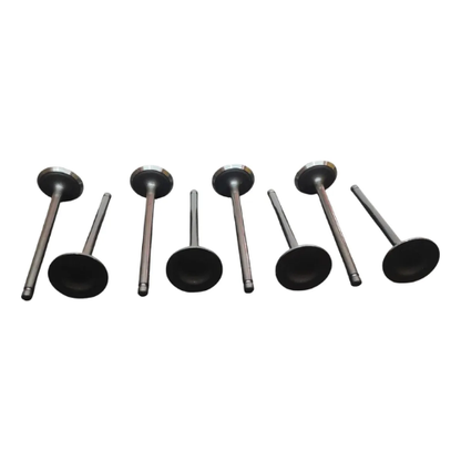 Valvula Admision Foton Tm3 1.5 Pack 8