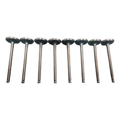 Valvula Admision Foton Tm3 1.5 Pack 8