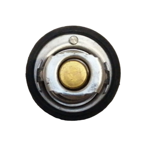 Termostato Foton Foton T3