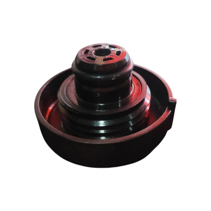 Tapa Deposito Radiador Foton Terracota 2.8