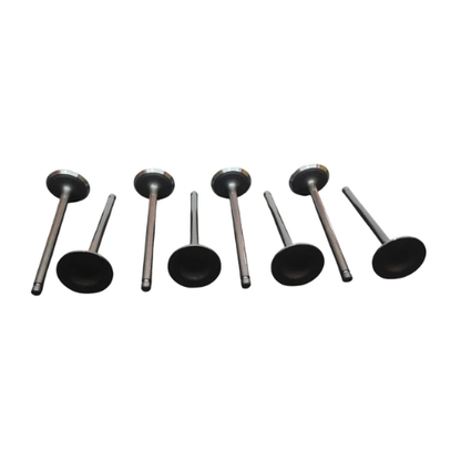 Valvula Admision Foton Tm3 1.5 Pack 8