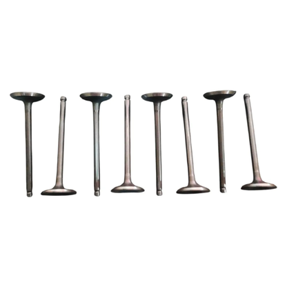 Valvula Admision Foton Tm3 1.5 Pack 8